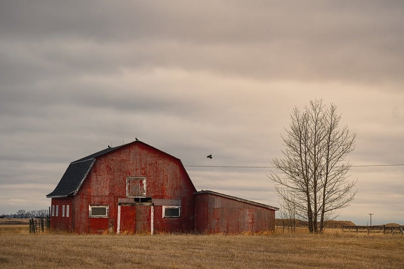 The Meadowbrook Barn